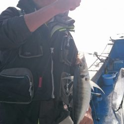 海龍丸（石川） 釣果