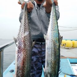 みやけ丸 釣果