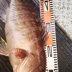 第二龍勢丸 釣果