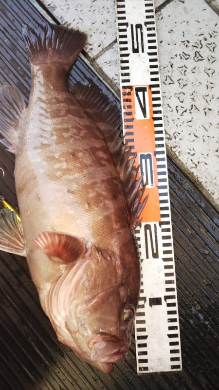 第二龍勢丸 釣果