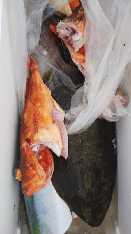 第二龍勢丸 釣果