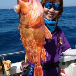 ARCADIAⅡ （アルカディアⅡ） 釣果