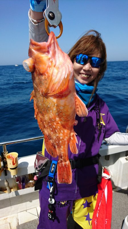 ARCADIAⅡ （アルカディアⅡ） 釣果