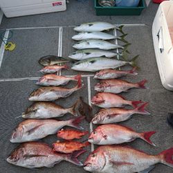 ARCADIAⅡ （アルカディアⅡ） 釣果