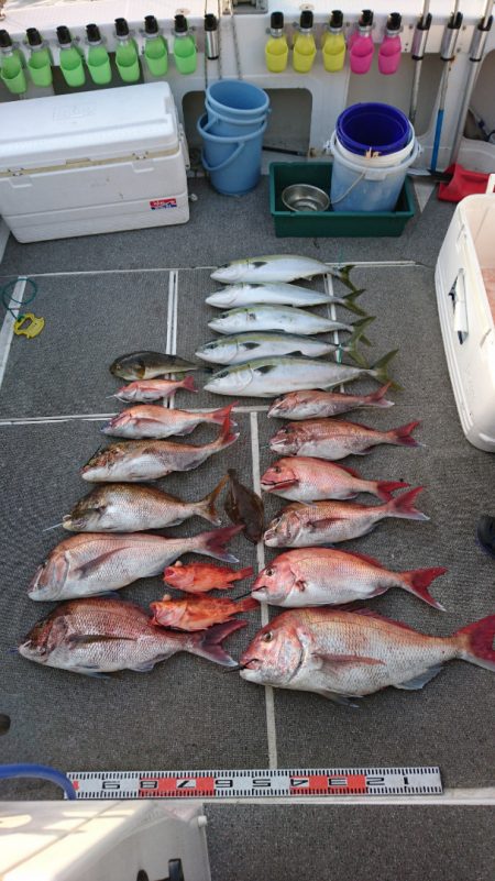 ARCADIAⅡ （アルカディアⅡ） 釣果