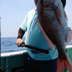 だて丸 釣果