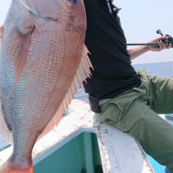 だて丸 釣果