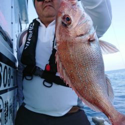 だて丸 釣果