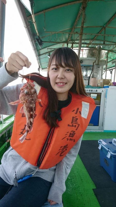 小島丸 釣果