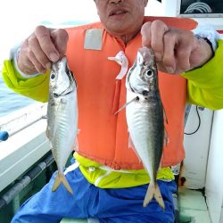 小島丸 釣果