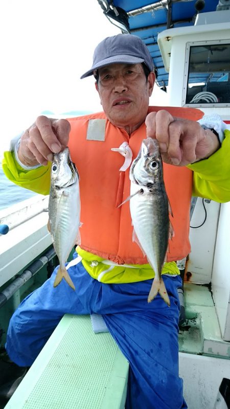 小島丸 釣果