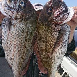 第三共栄丸 釣果