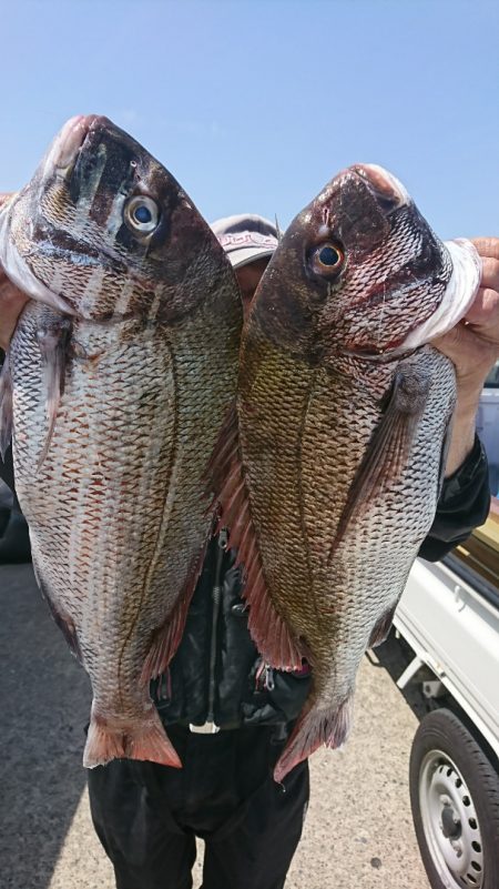 第三共栄丸 釣果