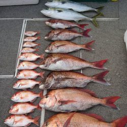 ARCADIAⅡ (アルカディアⅡ) 釣果