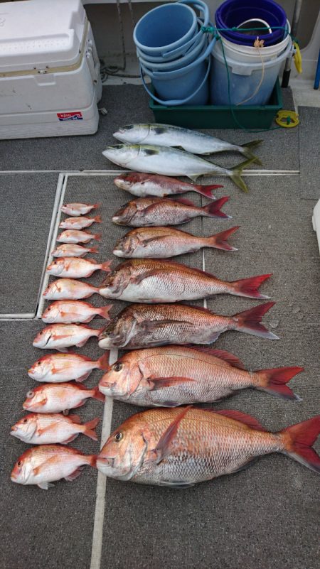 ARCADIAⅡ (アルカディアⅡ) 釣果