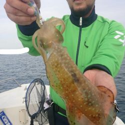 きずなまりん 釣果