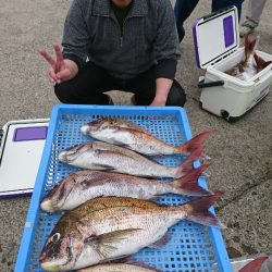第三共栄丸 釣果