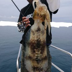 ソルトウォーターガイドフレンズ 釣果