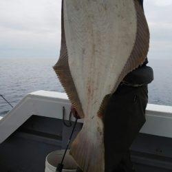 第二龍勢丸 釣果