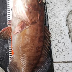 第二龍勢丸 釣果