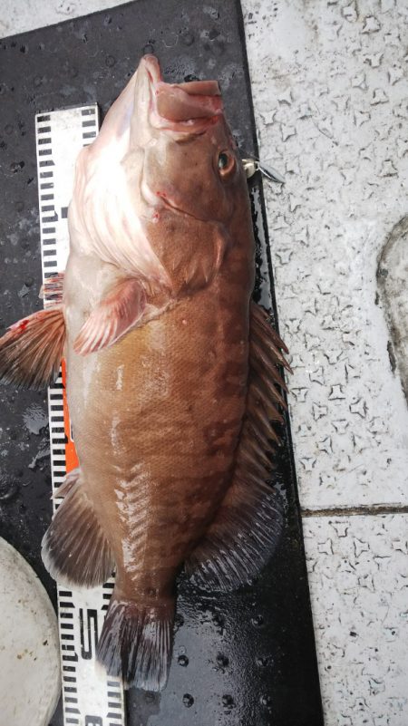 第二龍勢丸 釣果