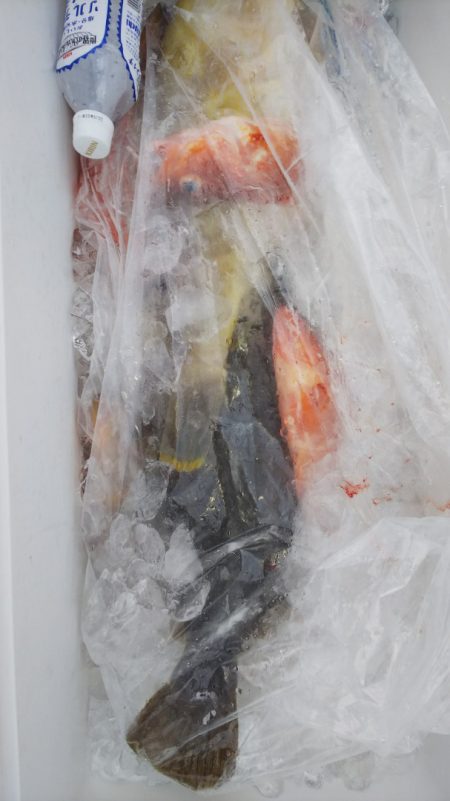 第二龍勢丸 釣果