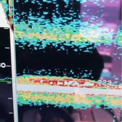 ＴＡＲＯＭＡＲＵ 釣果