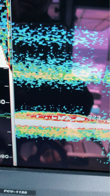 ＴＡＲＯＭＡＲＵ 釣果
