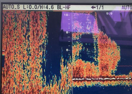 渡船屋たにぐち 釣果
