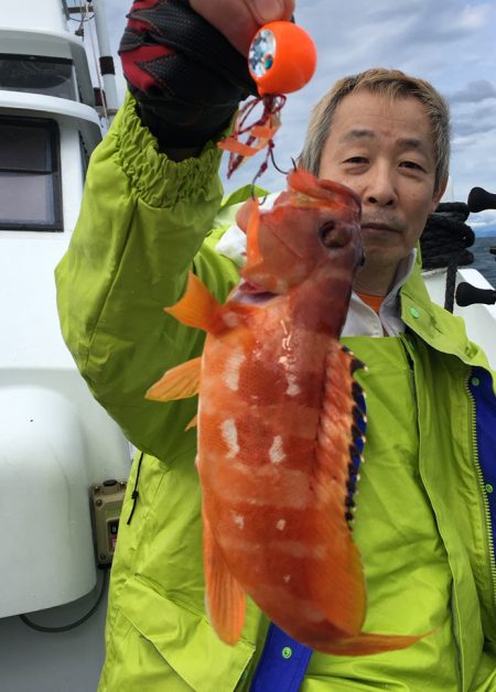 渡船屋たにぐち 釣果