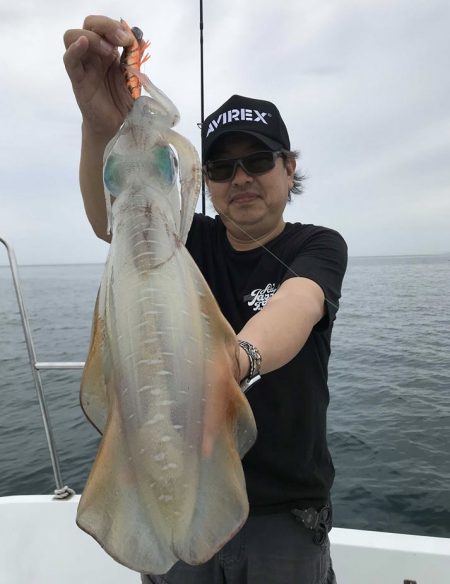 South Current 釣果