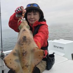 South Current 釣果