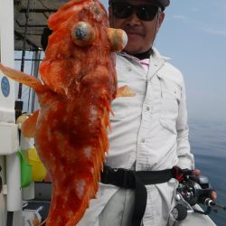 ブルースフィッシングサービス 釣果