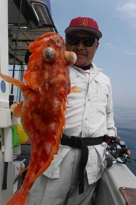 ブルースフィッシングサービス 釣果