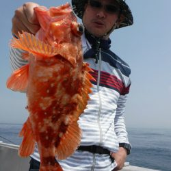 ブルースフィッシングサービス 釣果