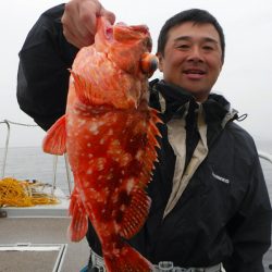 ブルースフィッシングサービス 釣果