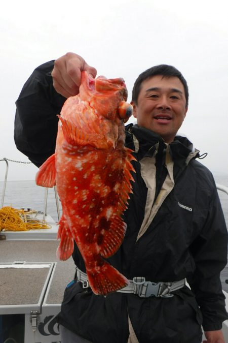 ブルースフィッシングサービス 釣果