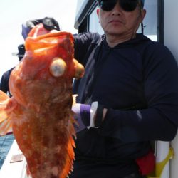 ブルースフィッシングサービス 釣果