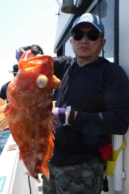 ブルースフィッシングサービス 釣果