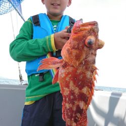 ブルースフィッシングサービス 釣果