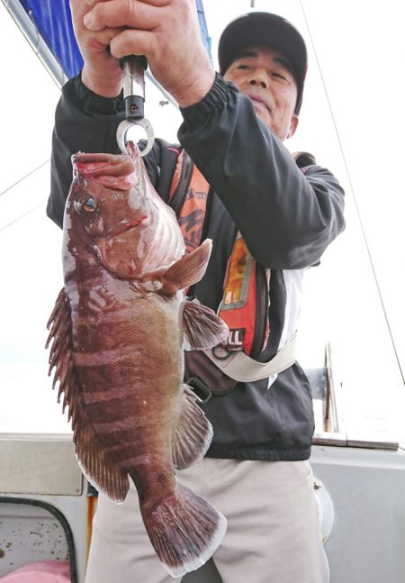 ブルースフィッシングサービス 釣果