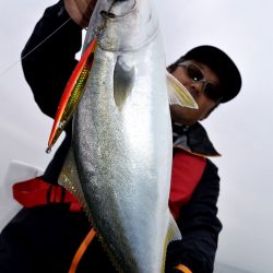 渡船屋たにぐち 釣果