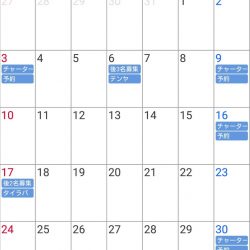 遊漁船 家入 釣果