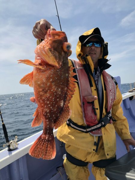 新幸丸 釣果