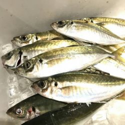 海龍丸（石川） 釣果