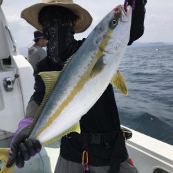 アマテラス 釣果