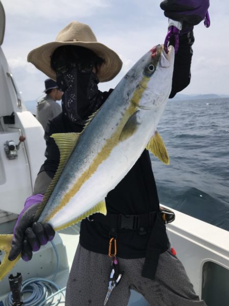 アマテラス 釣果