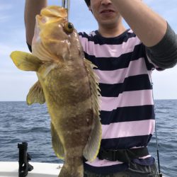 アマテラス 釣果