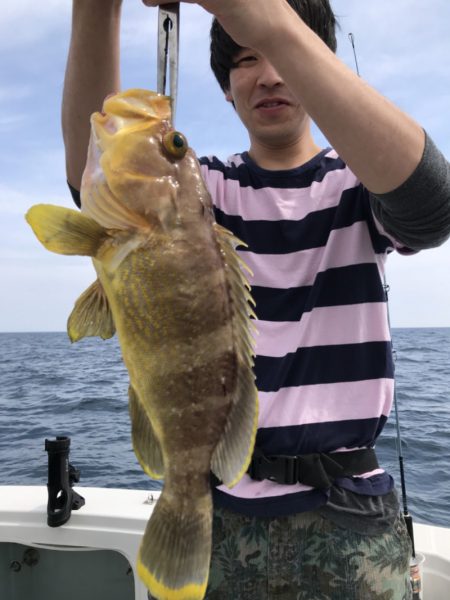 アマテラス 釣果