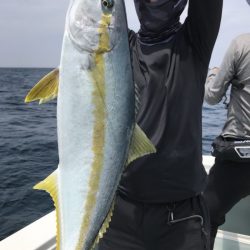 アマテラス 釣果